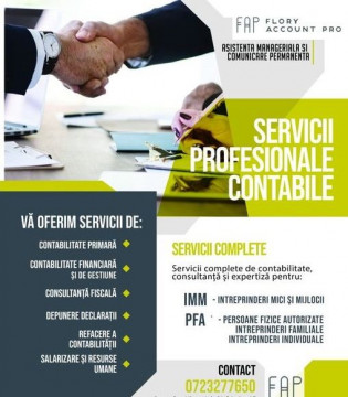 Servicii profesionale financiar contabile